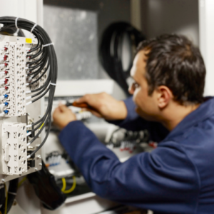 BAC PRO Cybersécurité, informatique et réseaux, électronique